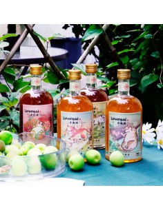 莲洲茶梅酒 4瓶组 2